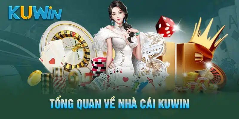 Giới thiệu Kuwin với quá trình hình thành thương hiệu