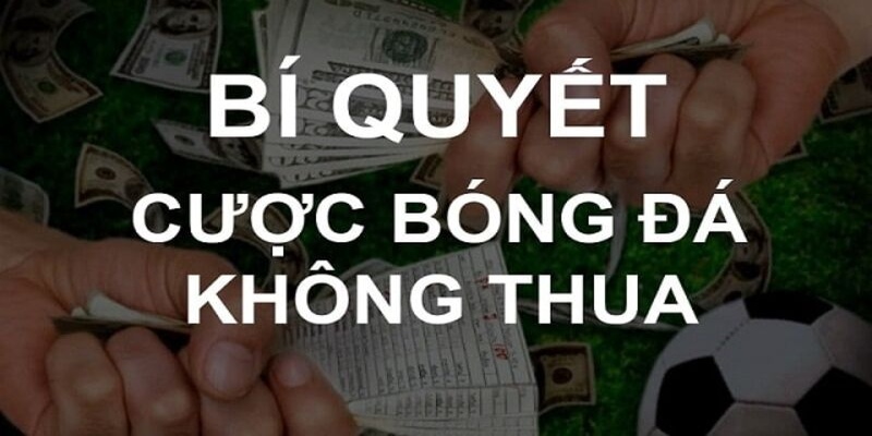 Mẹo chơi cá độ bóng đá không thua