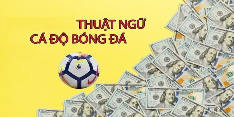 Thuật ngữ cá cược bóng đá cùng thông tin hữu ích